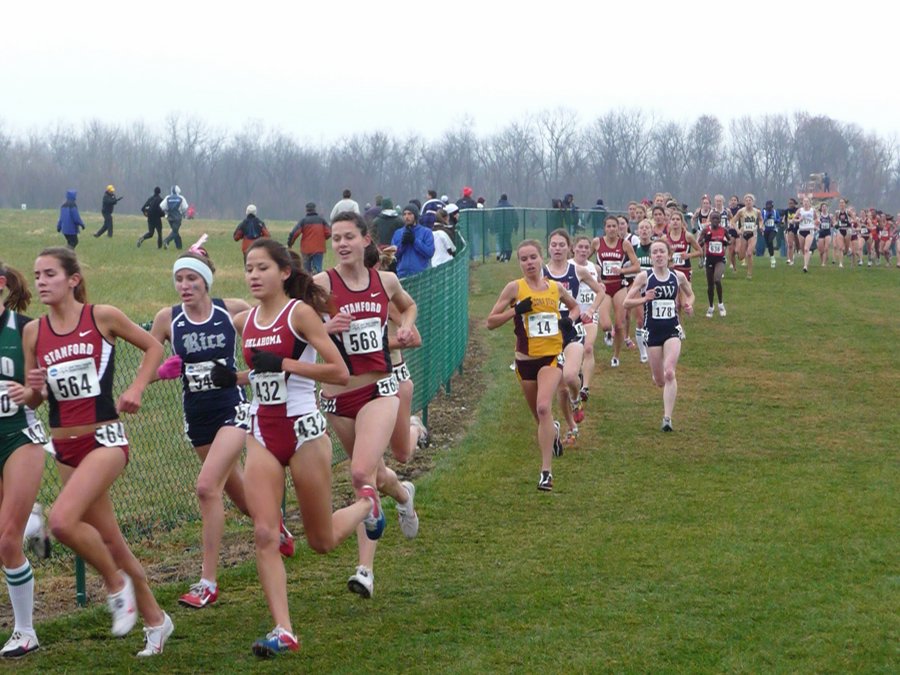 P1000335.JPG
