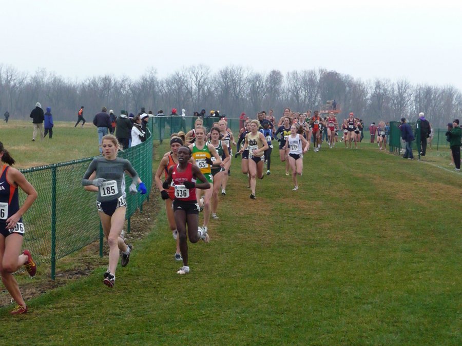 P1000338.JPG