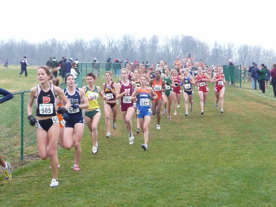 P1000342.JPG
