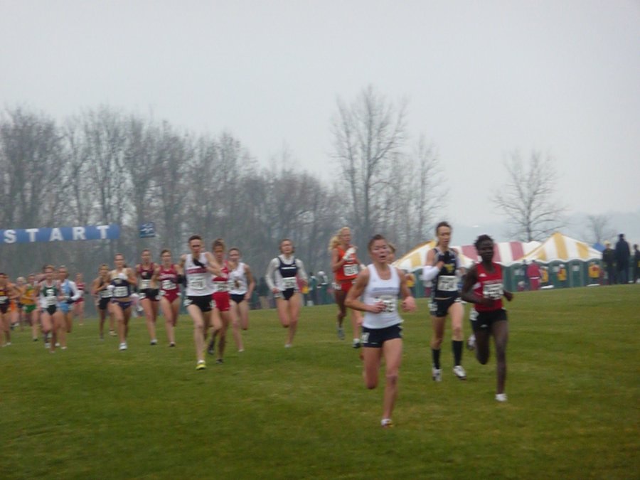 P1000366.JPG