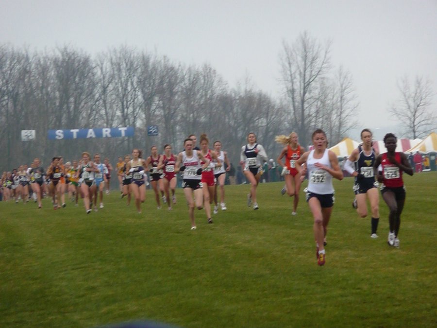 P1000367.JPG