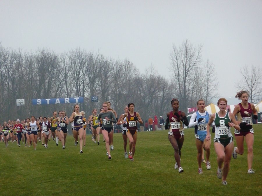 P1000372.JPG