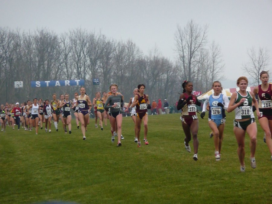 P1000374.JPG