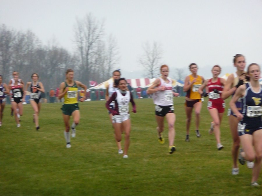P1000381.JPG