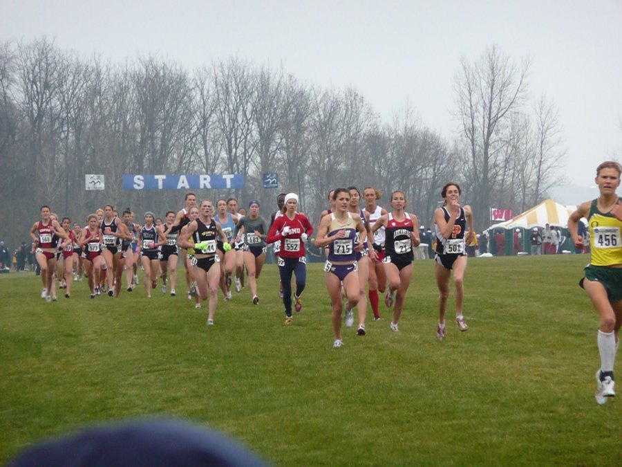 P1000382.JPG