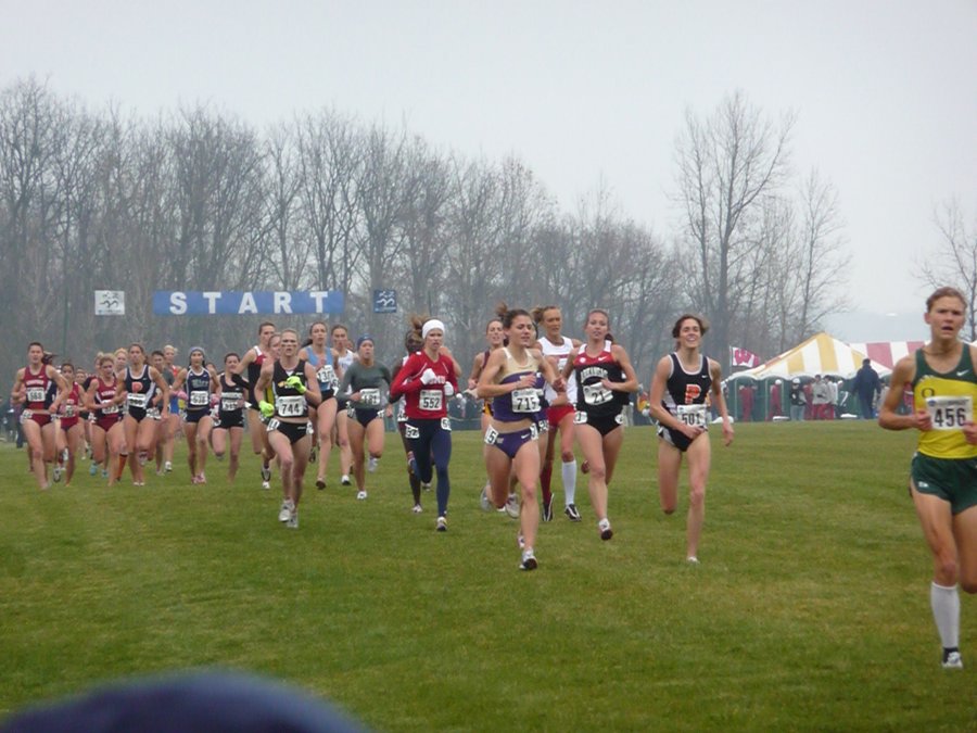 P1000383.JPG