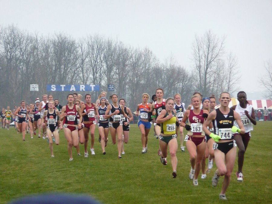 P1000385.JPG