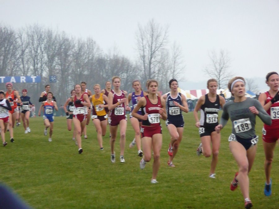 P1000399.JPG