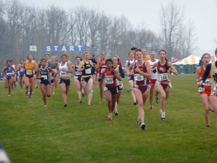 P1000400.JPG