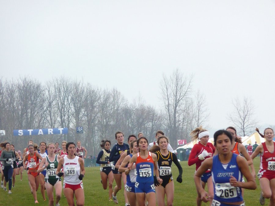 P1000404.JPG
