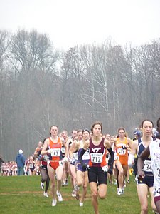 P1000178.JPG