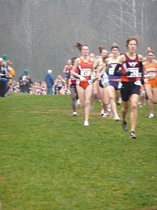 P1000179.JPG
