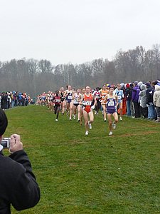 P1000180.JPG