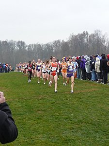P1000181.JPG