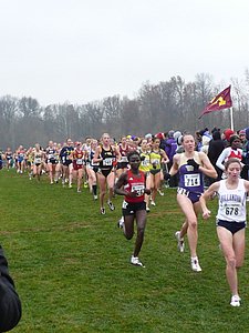 P1000182.JPG