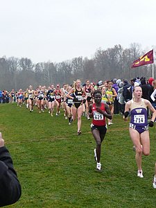 P1000183.JPG