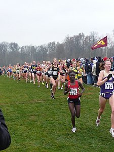 P1000184.JPG