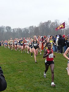 P1000185.JPG