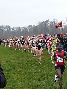 P1000187.JPG
