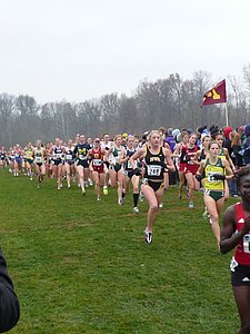 P1000188.JPG