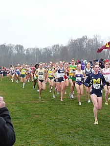 P1000190.JPG