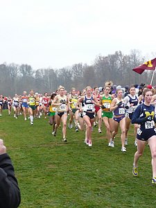 P1000191.JPG