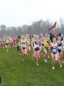 P1000194.JPG