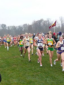 P1000195.JPG