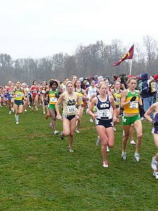 P1000196.JPG