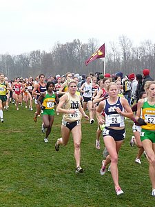 P1000199.JPG