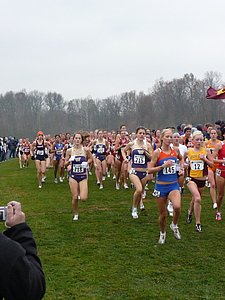 P1000201.JPG