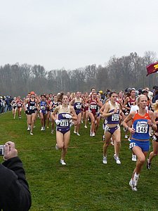 P1000203.JPG