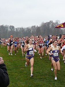 P1000206.JPG