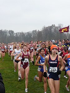 P1000208.JPG