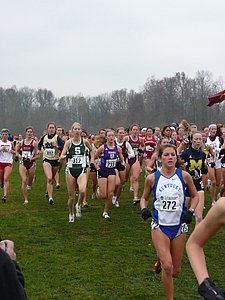P1000221.JPG