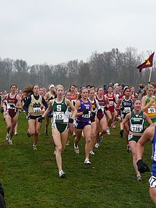 P1000224.JPG