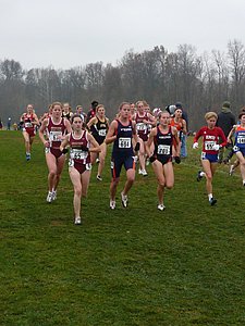 P1000229.JPG