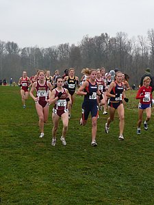 P1000230.JPG