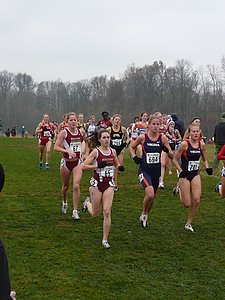 P1000231.JPG