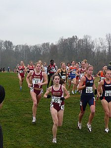 P1000233.JPG