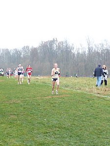 P1000234.JPG