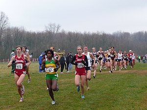 P1000250.JPG