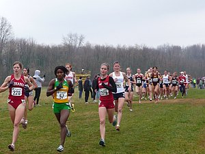 P1000251.JPG