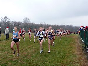 P1000258.JPG