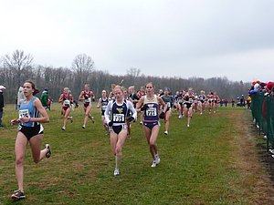 P1000259.JPG