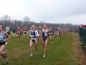 P1000260.JPG