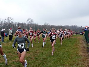 P1000261.JPG