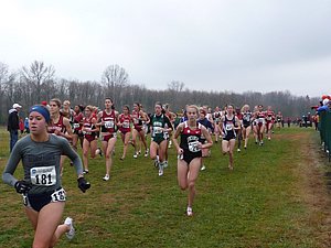 P1000262.JPG
