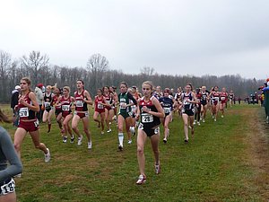 P1000263.JPG
