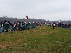 P1000272.JPG